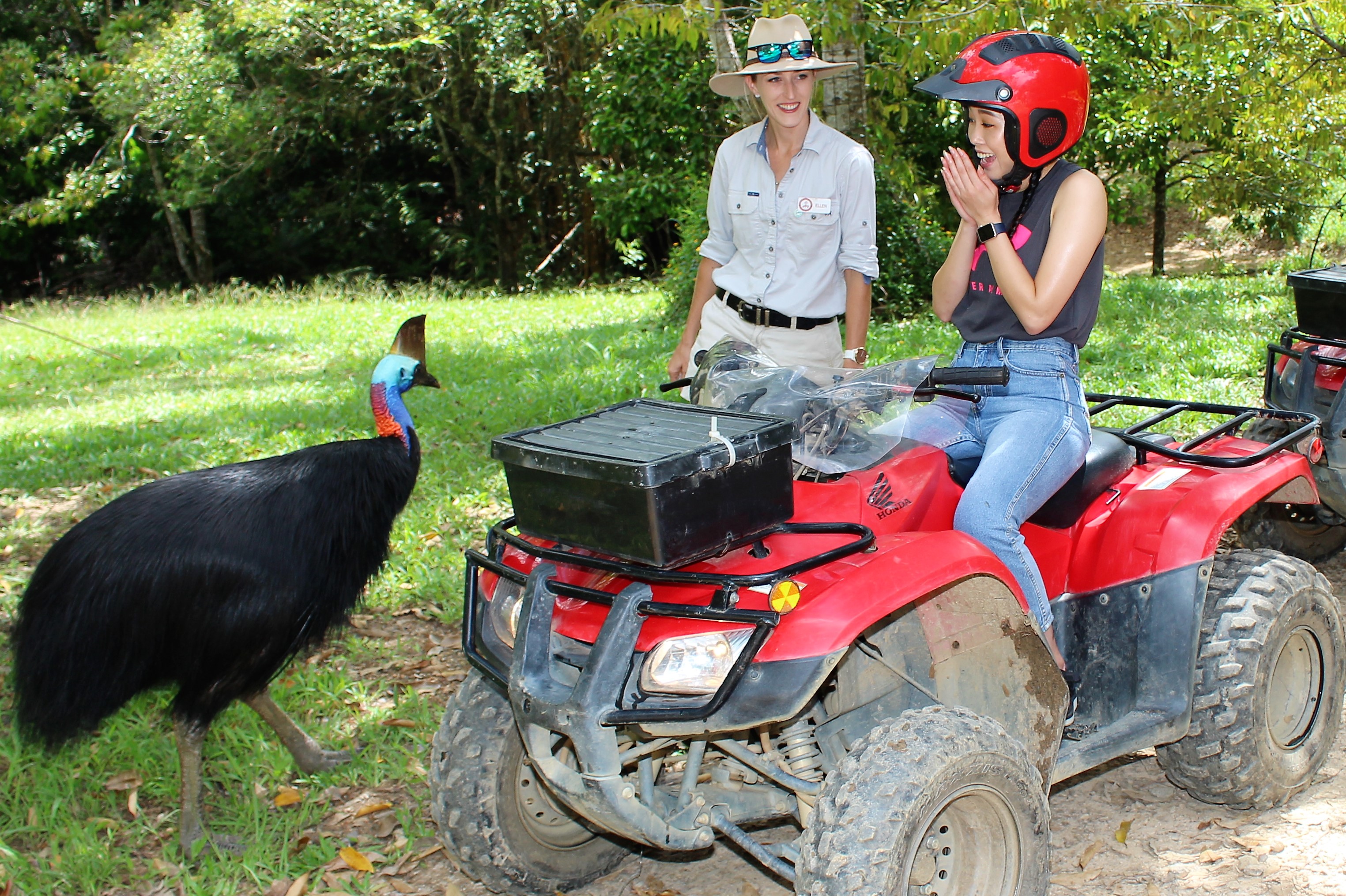 1 hour rainforest ATV tour
