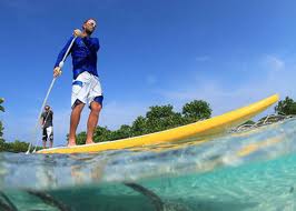 Stand Up Paddle Hire Fishpen