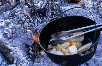 Burke and Wills Expedition