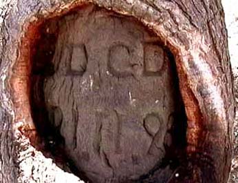 Burke and Wills Expedition