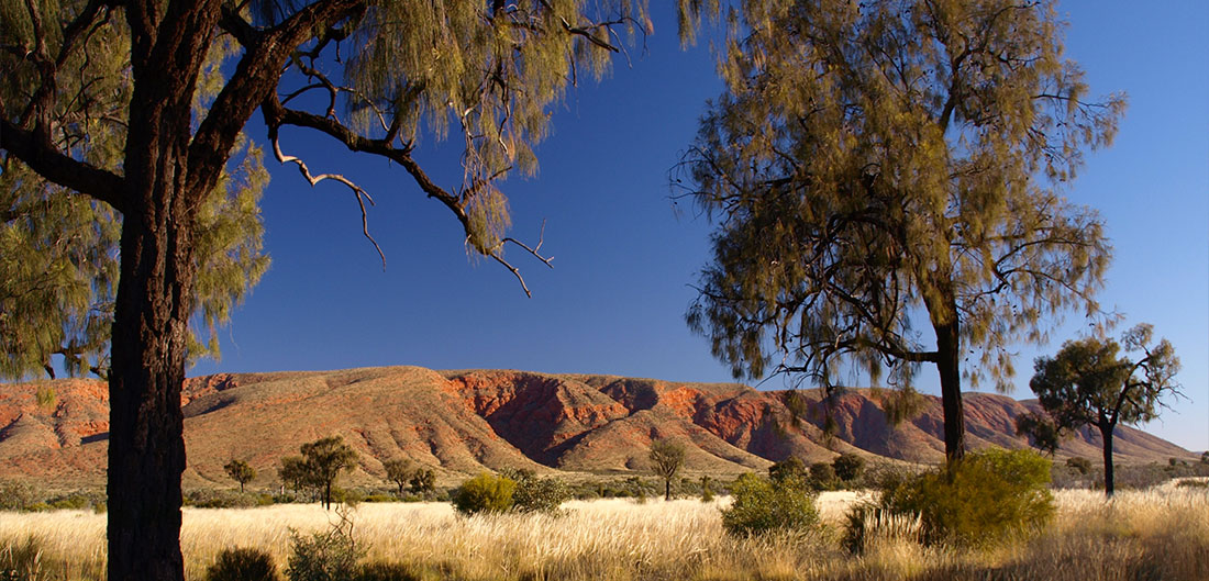 Western Desert Art Centre Expedition
