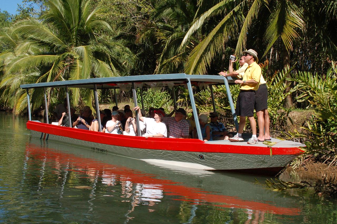 Damas Island Mangrove Estuary Boat Tour from Jaco