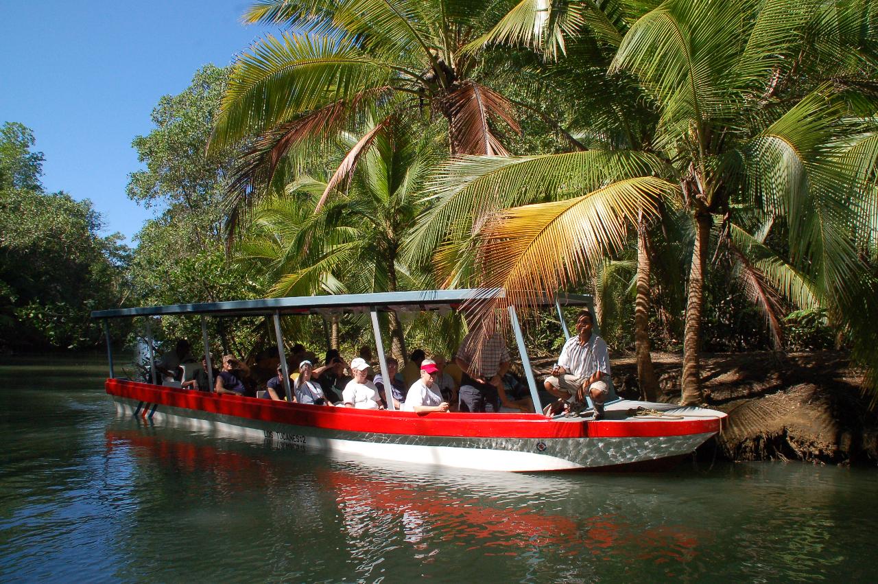 Isla Damas Mangrove Estuary Boat Tour from Manuel Antonio