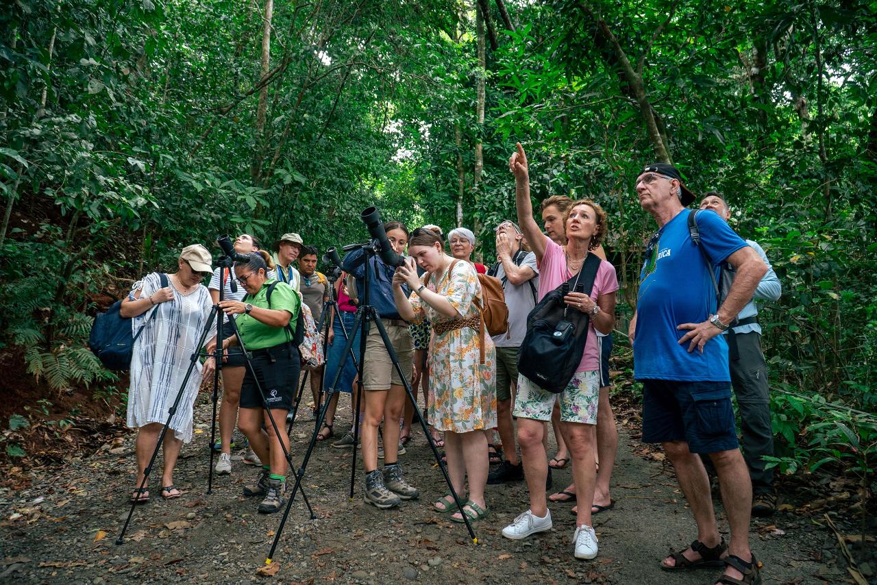 Manuel Antonio National Park Guided Tour from Manuel Antonio