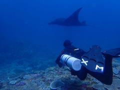 Sidemount Refresher / Tailored Day