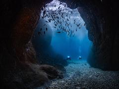 Advanced Shore Dive