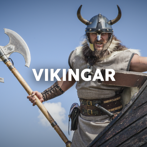 Stadsvandring - Vikingar i Uppsala