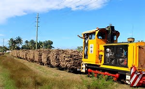 Full-Day 6-Hour Private Guided Tour from Lautoka Wharf