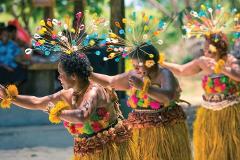 Fijian Cultural Village Tour