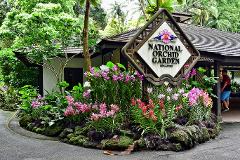 Discover Nadi Morning Sightseeing Tour: Orchid Gardens & More