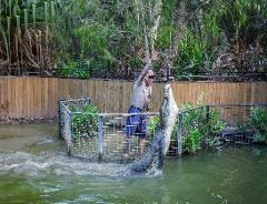 Kuranda: Scenic Rail, Skyrail and Hartley's Crocodile Adventures Q-0850 S-1130 XC