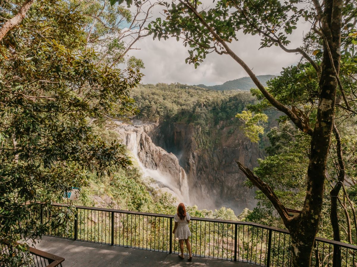 Waterfall, Wetlands and Skyrail