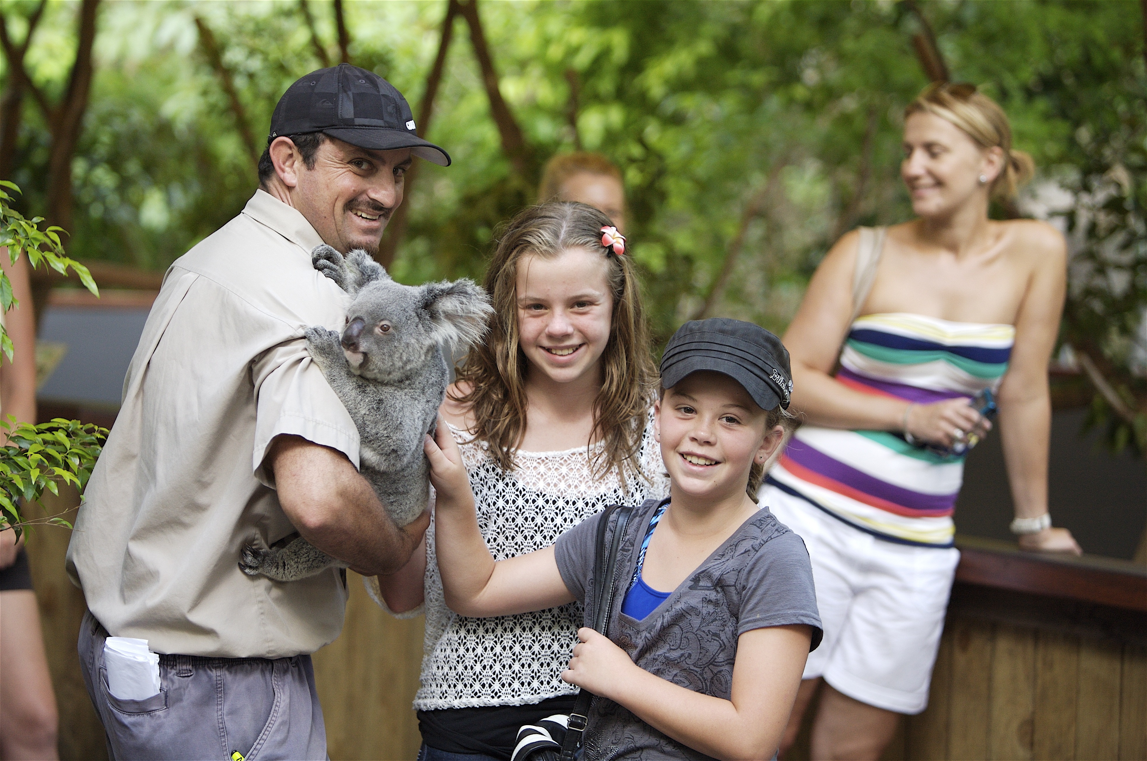 Kuranda: Scenic Rail, Skyrail and Hartley's Crocodile Adventures Q-0850 S-1130 XC
