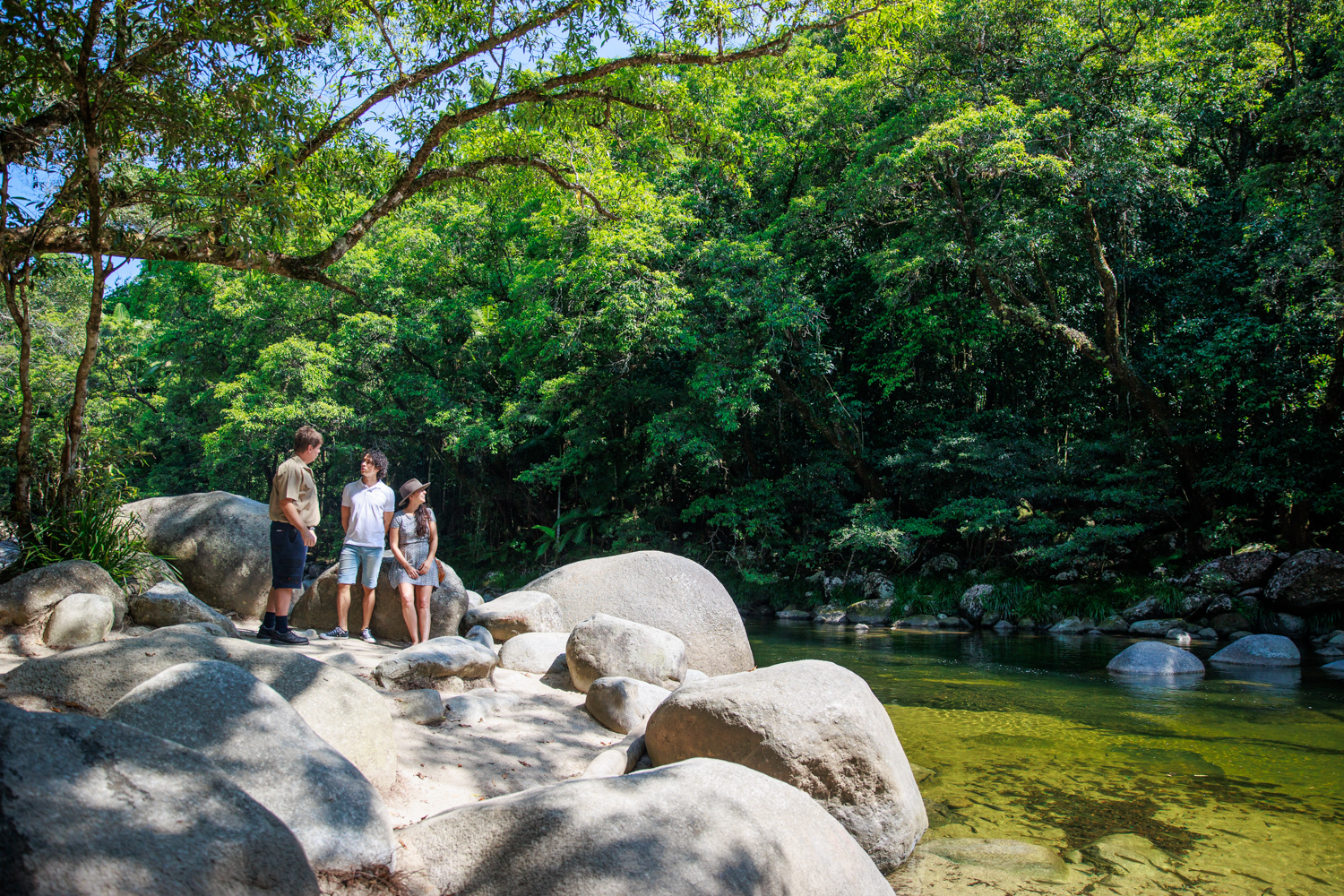 Cape Tribulation, Daintree & Mossman Gorge Tour