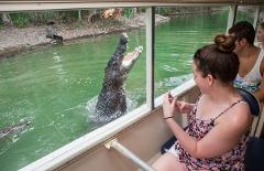 Kuranda: Scenic Rail, Skyrail and Hartley's Crocodile Adventures Q-0850 S-1130 XC