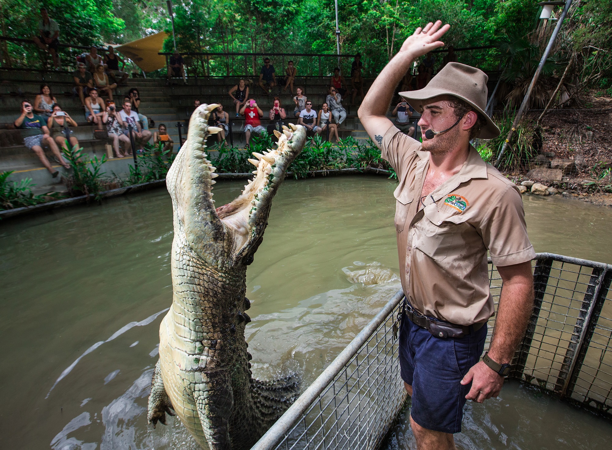Kuranda: Scenic Rail, Skyrail and Hartley's Crocodile Adventures Q-0850 S-1130 XC