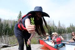 Wild Foodies Pick Paddle and Party
