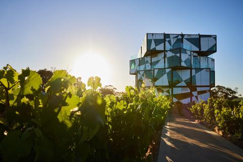 3_Fleurieu_Eco_Adventure_credit___South_Australian_Tourism_Commission_and_d_Arenberg_Cube