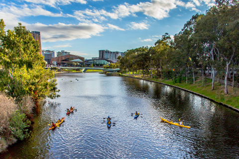Adelaide City Kayak Tour Gift Card