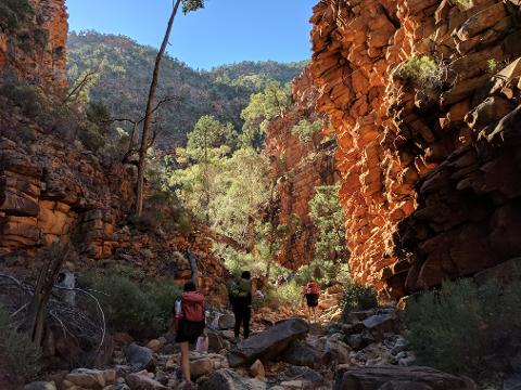 Journey North - A Culture and Wine Experience to The Flinders