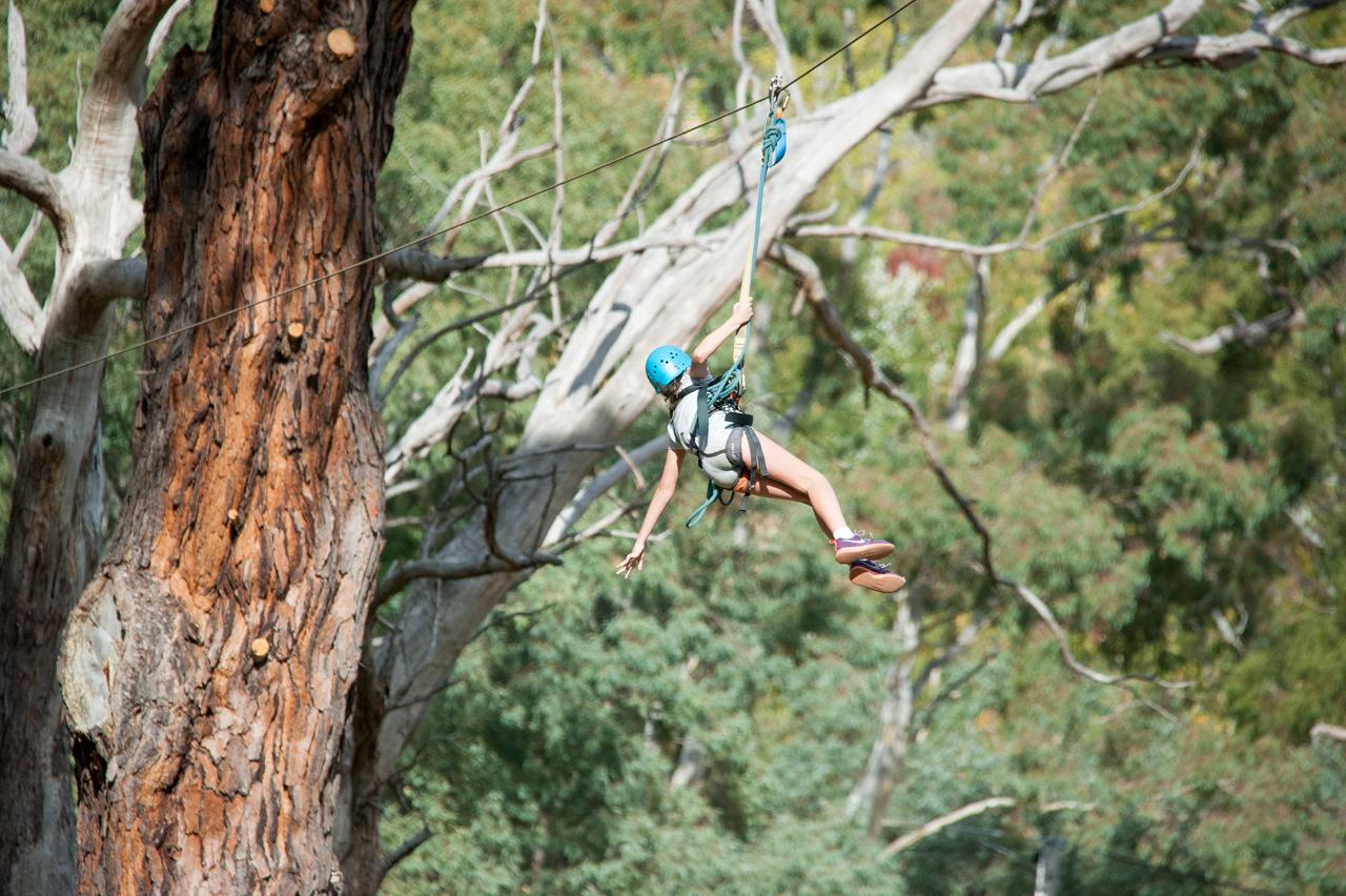 Rock Climbing, Abseiling and Zipline Experience - Mount Lofty Adventure Hub