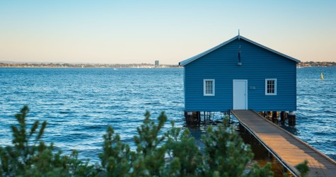 45 MINUTE SWAN RIVER WILDLIFE ECO TOUR