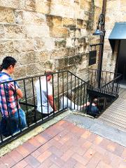 Convict Colony Walking Tour Gift Cards