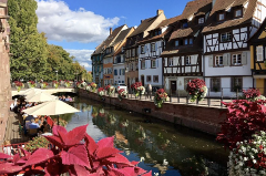 Private guided tour of Colmar 