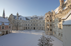 Private Guided Tour of Blois Castle