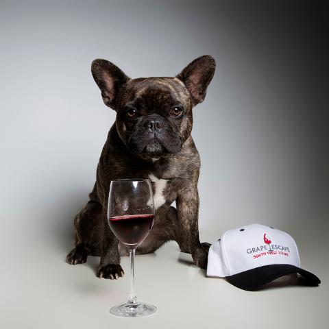 Margaret River Winery Tours, Dog Friendly