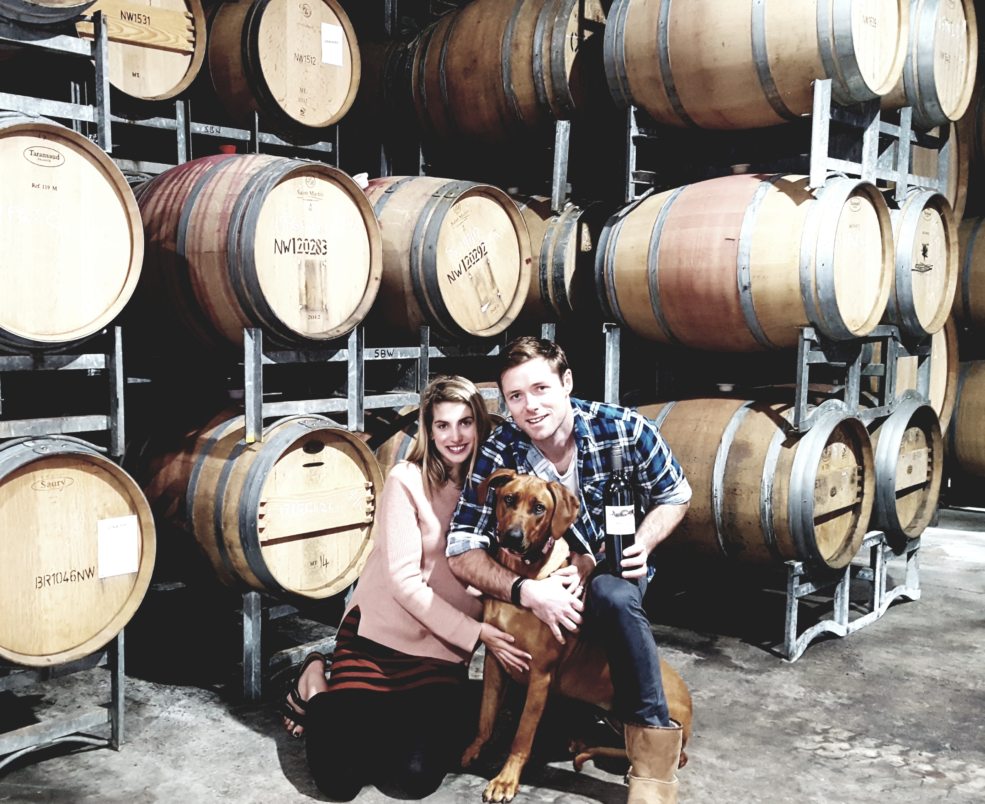 Pawesome Private Tours - up to 3 people