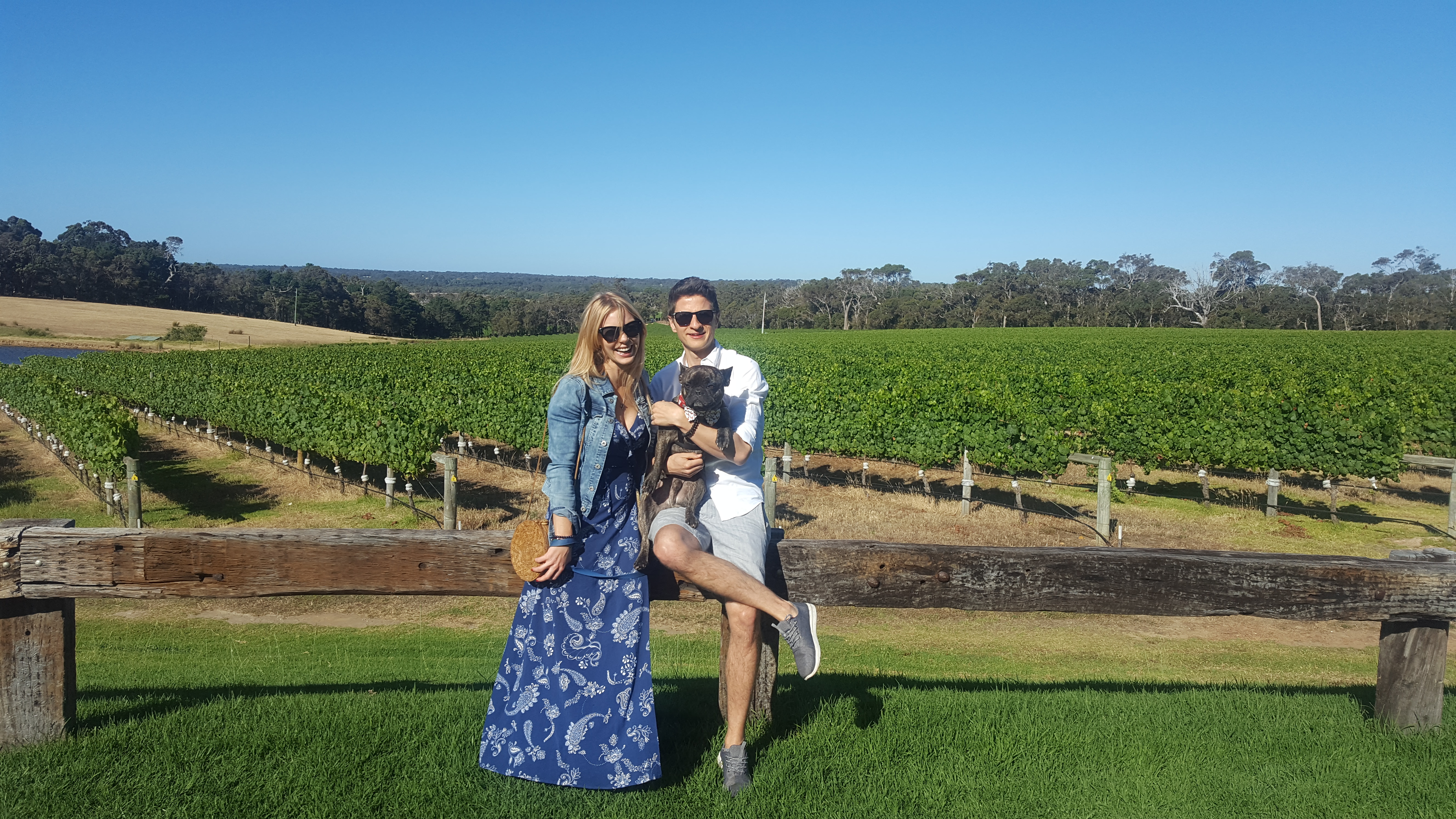 Pawesome Private Tours - up to 3 people