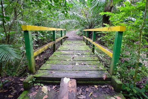 Gatun and Parque Nacional Soberania hike (half day)
