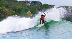  Surfboard Rentals