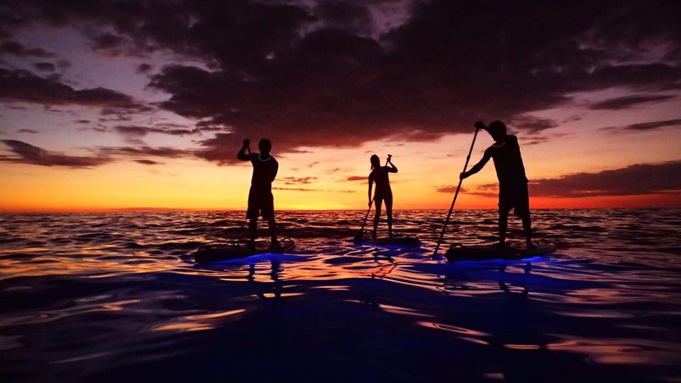 Paddle Vision Night Tour