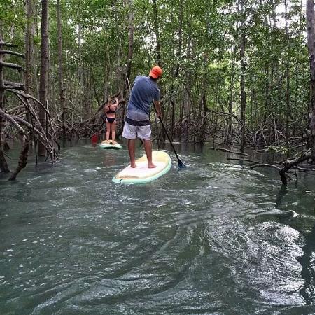 Paddle Board Damas Island Mangroves