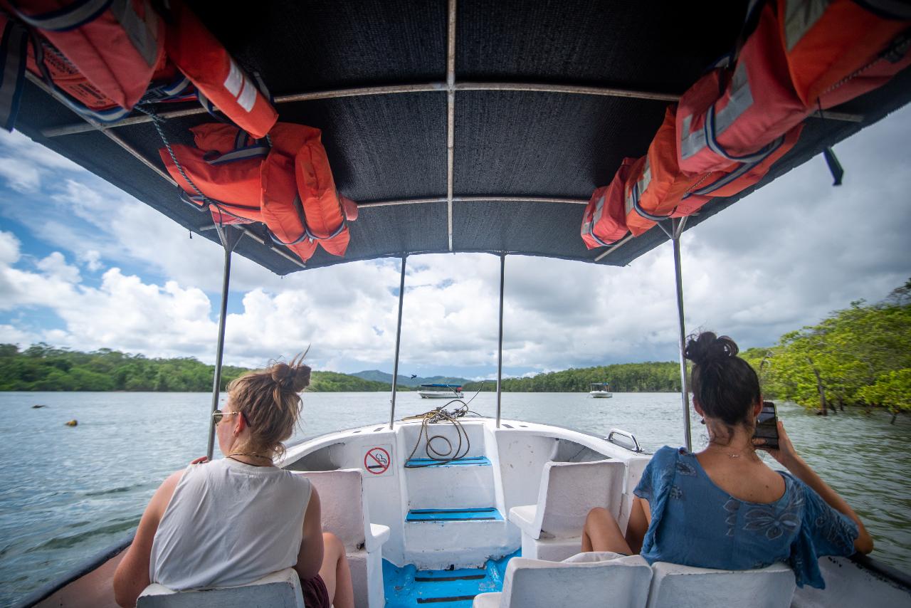 MANGROVE BOAT/KAYAK TOUR 