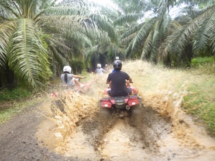 ATV Fourtrax Offroad Adventure