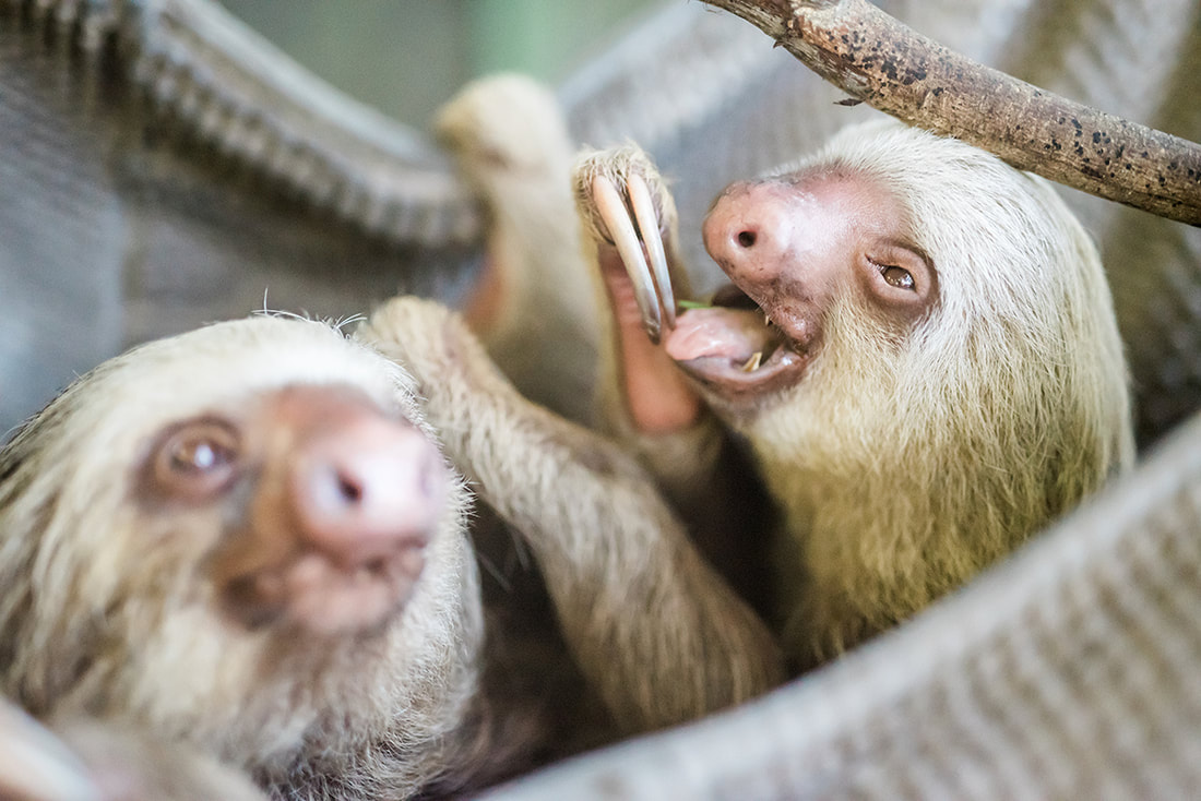 Wildlife Sanctuary Tour