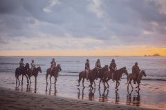 HORSEBACK RIDING BEACH TOUR 