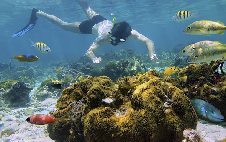 Cahuita Snorkelling and Rainforest Hike