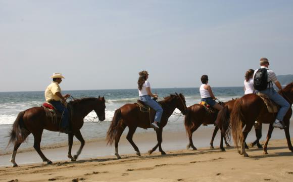 Horseback Riding on The Beach