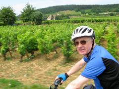 Bike Tour, Burgundy, France (self-guided)