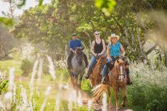 Updated -  Gunstock Ranch - Oahu: 1 Hour Scenic Ride - North Shore