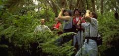 Hawaii Forest & Trail - Big Island: Endangered Native Habitats - Kona