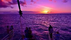 Updated - Blue Dolphin Charters - Kauai: NaPali Sunset Dinner Cruise - Port Allen