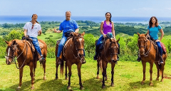 Updated -  Gunstock Ranch - Oahu: 1.5 Hour Scenic Ride - North Shore