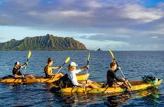 Active Oahu Tours - Oahu: Kaneohe Bay Sandbar Self-Guided Kayak Experience – Windward