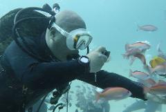Waikiki Marine Sports - Advanced Fun Diving (Certified 2Tanks) - Kewalo Basin