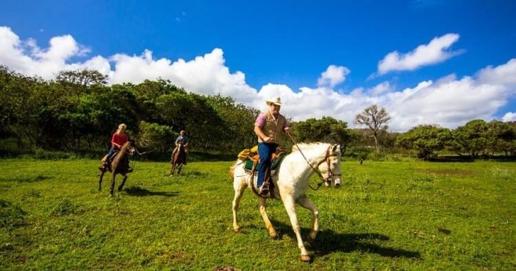 Updated - Gunstock Ranch - Oahu: Private Advanced Trail Ride - North Shore